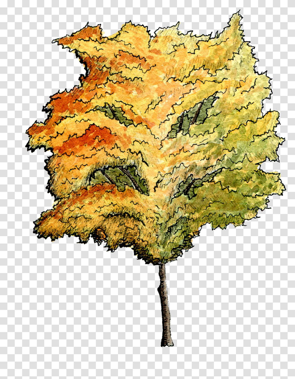 Site Plan Trees Architectural Watercolor Trees Plan, Leaf, Plant, Maple, Maple Leaf Transparent Png