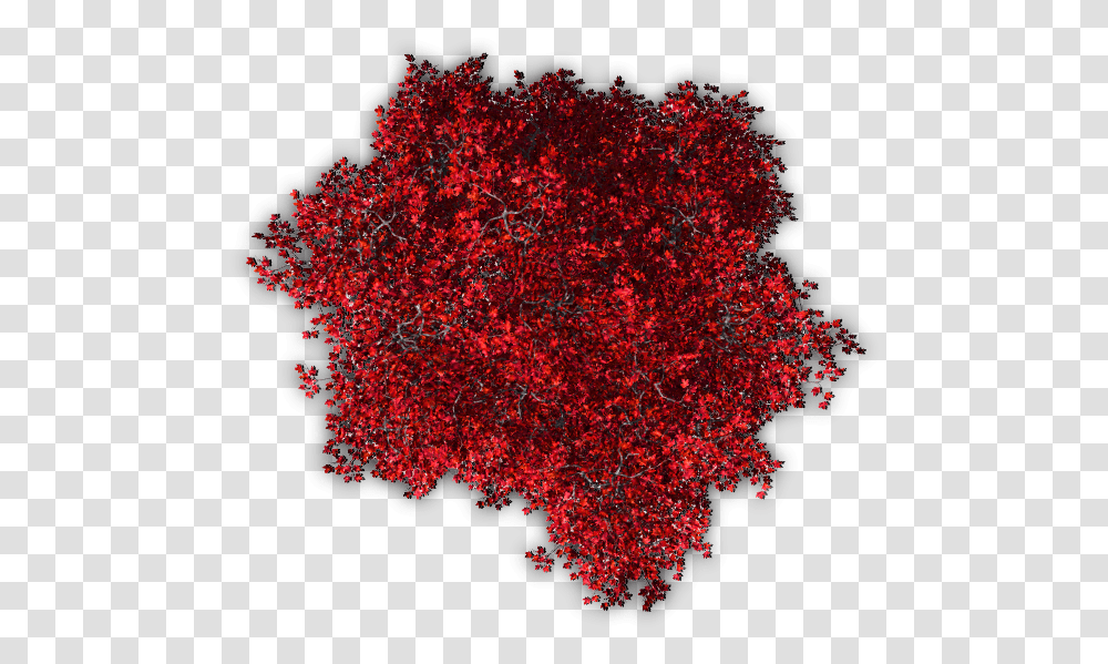 Site Plan Trees Red Tree Top View, Ornament, Pattern, Fractal, Mountain Transparent Png