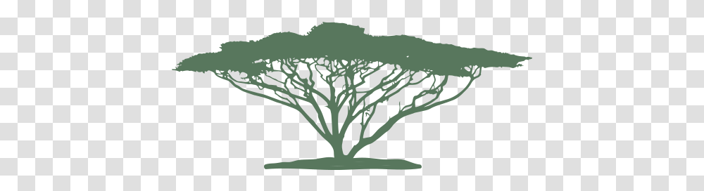 Siteicon Tree, Plant, Vegetable, Food, Kale Transparent Png