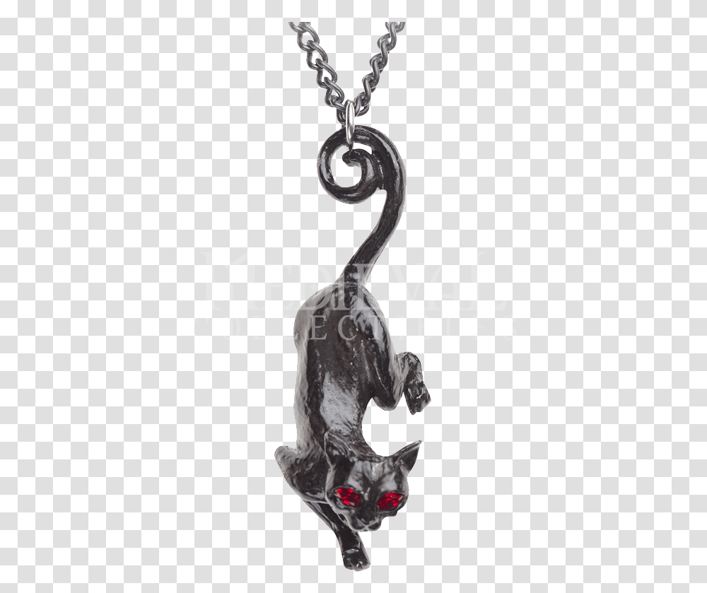 Sith Eyes Download Alchemy Cat Sith, Animal, Alphabet, Dodo Transparent Png
