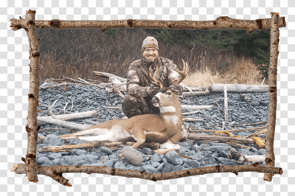 Sitka Deer Hunting Alaska Game Hunting Hunt Afognak Picture Frame, Kangaroo, Mammal, Animal, Person Transparent Png