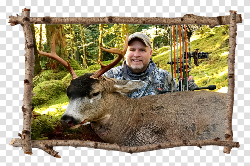 Sitka Deer Hunting Alaska Game Hunting Hunt Afognak Wildlife Biologist, Person, Human, Mammal, Animal Transparent Png