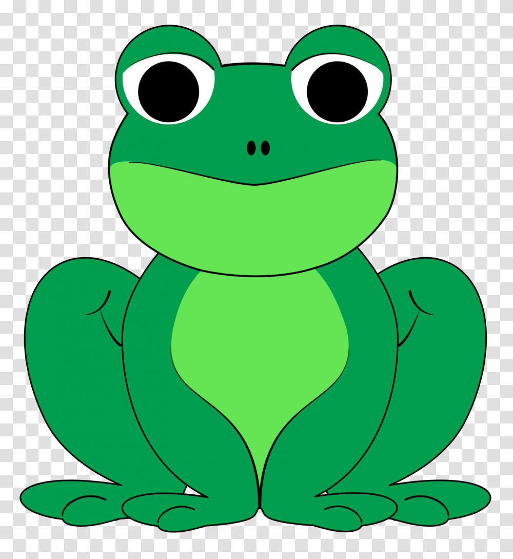 Sitting, Amphibian, Wildlife, Animal, Frog Transparent Png