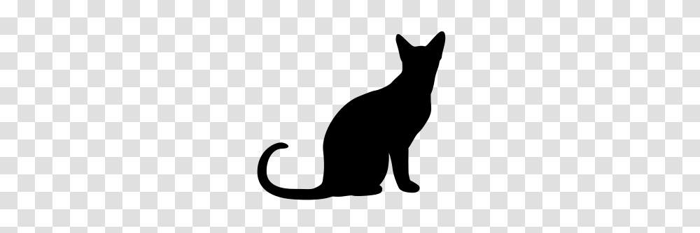 Sitting Cat Silhouette, Gray, World Of Warcraft Transparent Png