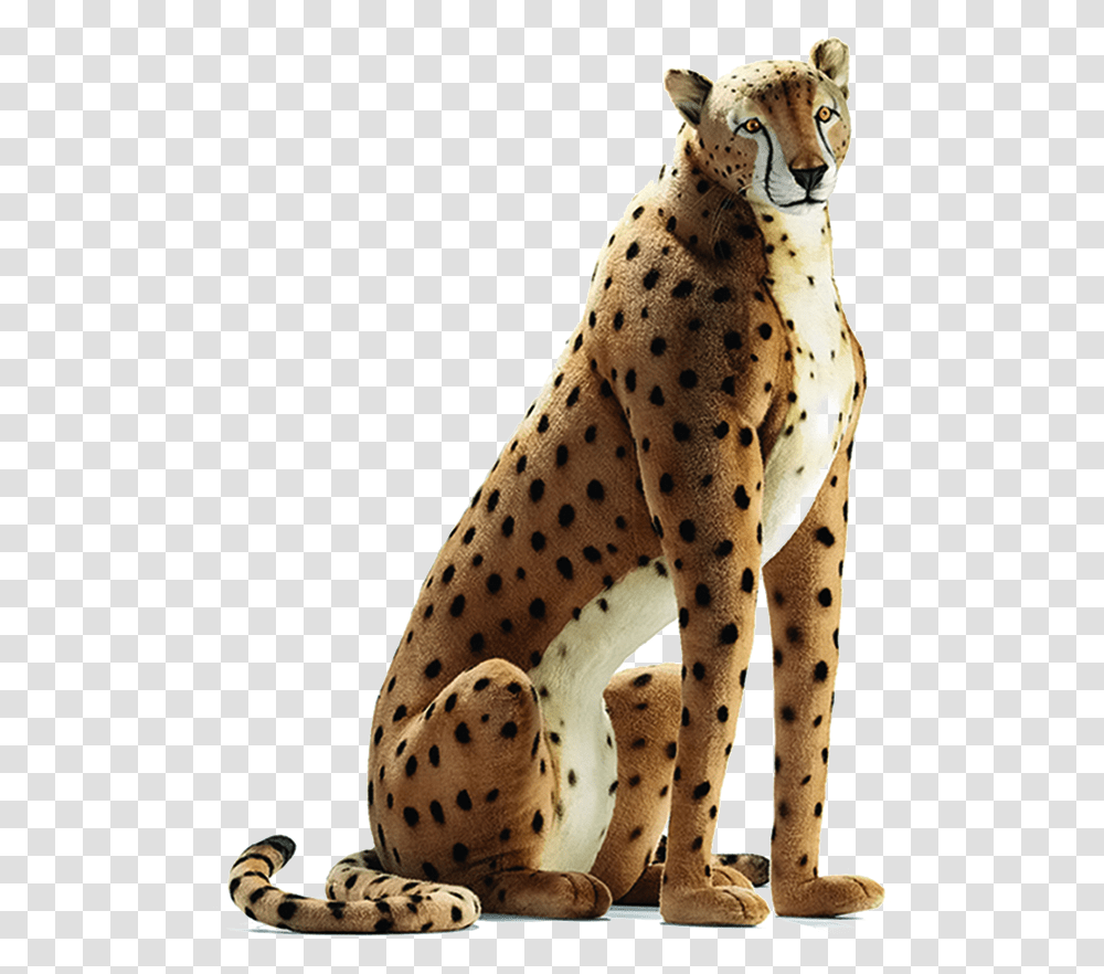 Sitting Cheetah Image Life Size Realistic Stuffed Animals, Wildlife, Mammal, Panther, Jaguar Transparent Png