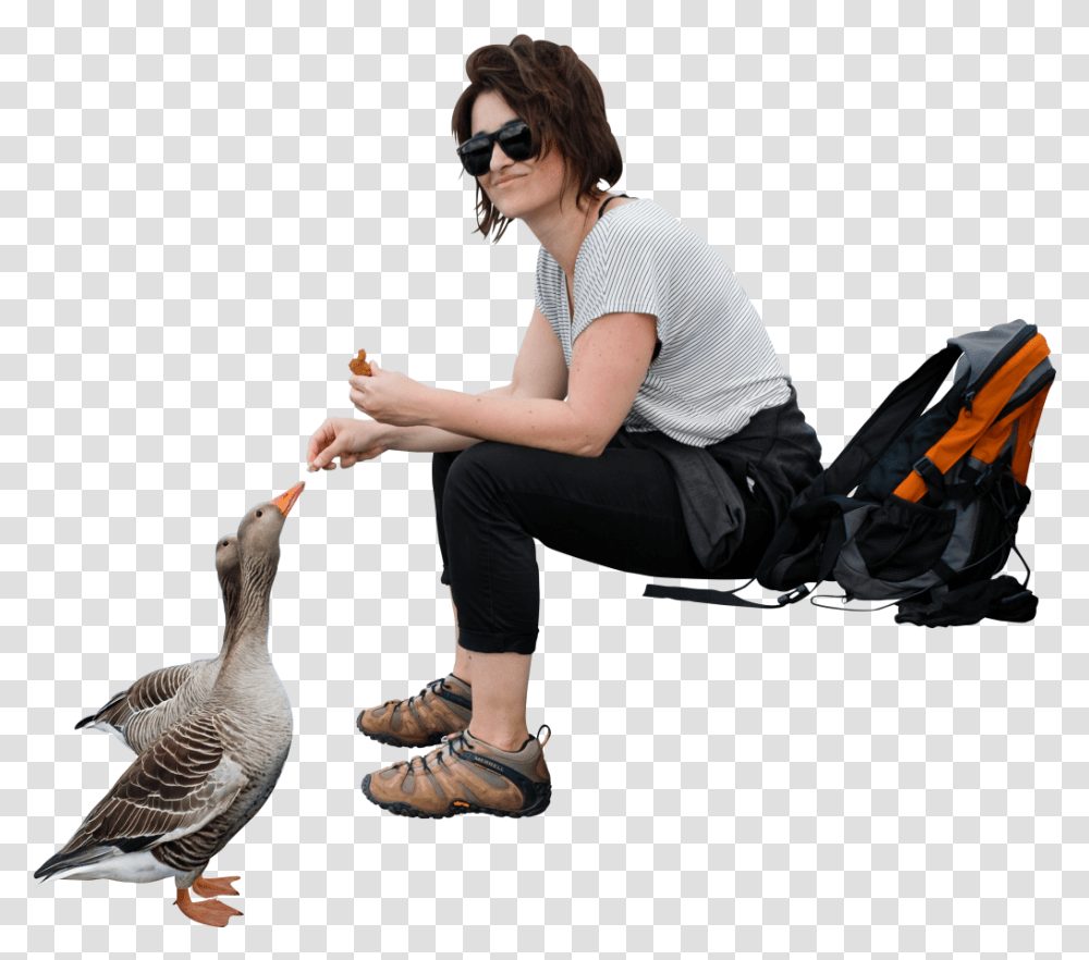 Sitting Collections People, Clothing, Bird, Animal, Person Transparent Png