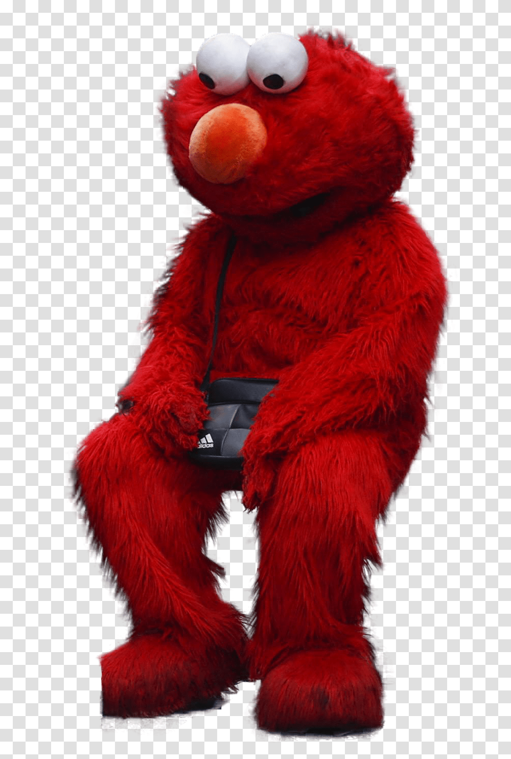 Sitting Elmo, Cushion, Pillow, Teddy Bear, Toy Transparent Png