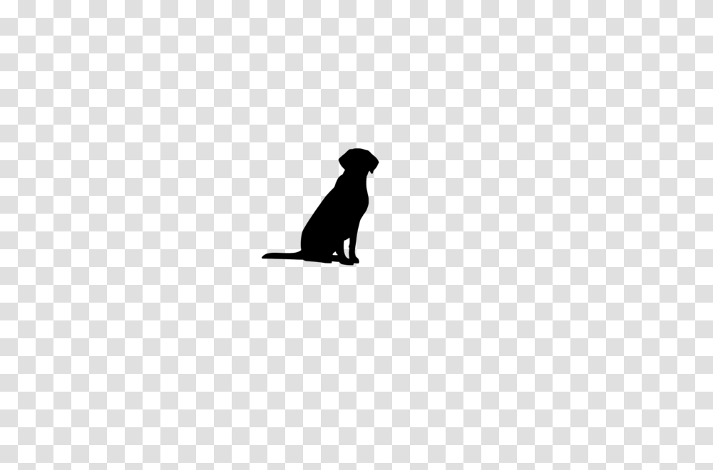 Sitting Labrador Retriever Decal Wicked Whiskerz, Gray, World Of Warcraft Transparent Png