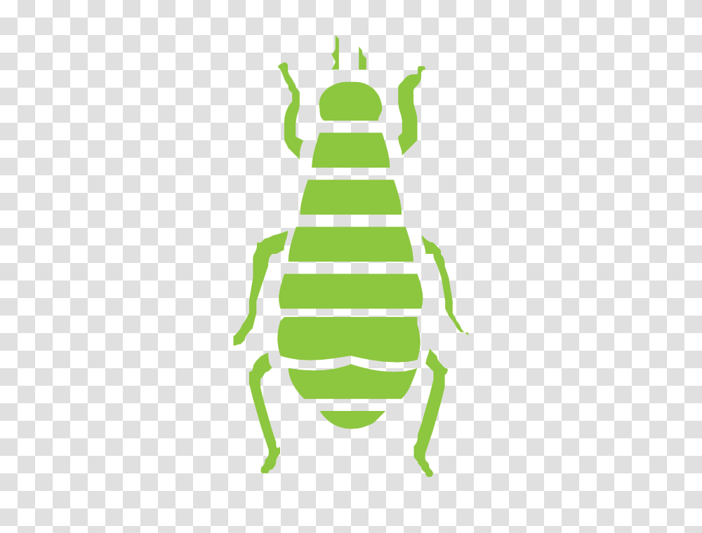 Six Brothers Pest Control Pest Control Done Right, Insect, Invertebrate, Animal, Beverage Transparent Png