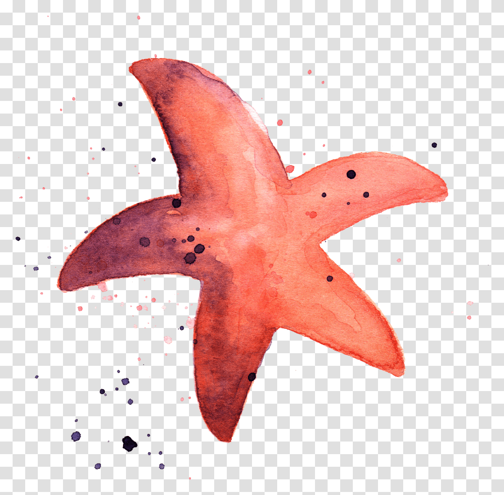 Size > 3000x3000 Pix Fish In The Ocean V06 Background Starfish Tumblr Transparent Png