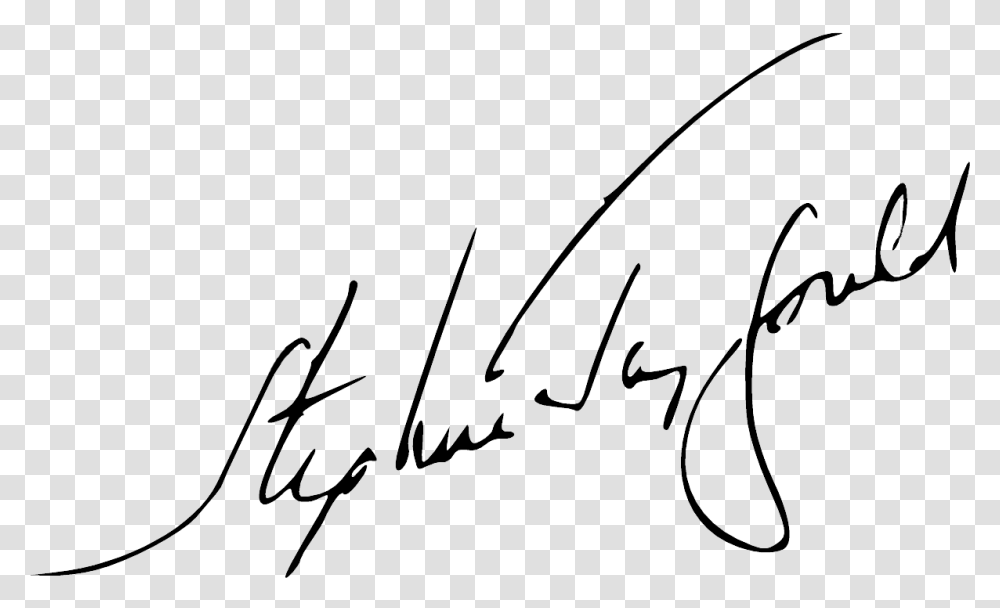 Sjg Signature, Handwriting, Bow, Autograph Transparent Png