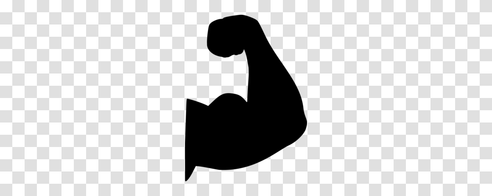 Skeletal Muscle Arm Drawing Biceps, Gray, World Of Warcraft Transparent Png
