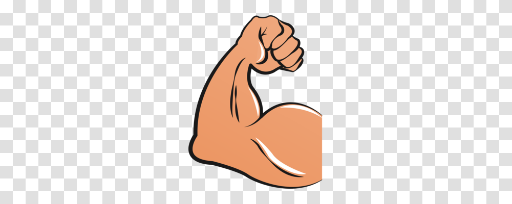 Skeletal Muscle Arm Drawing Biceps, Hand, Animal, Mammal Transparent Png