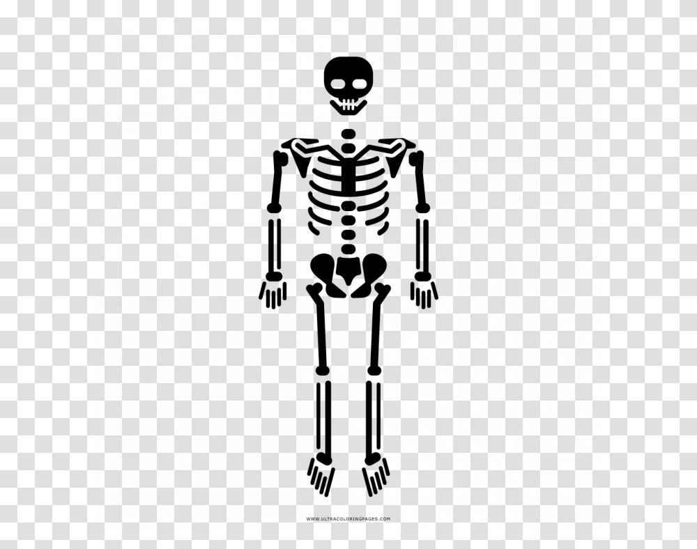 Skeletal System Body Skeleton Icon, Gray, World Of Warcraft Transparent Png