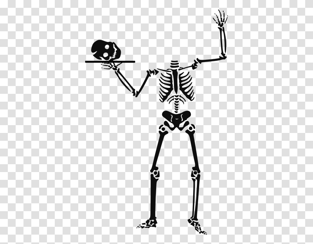 Skeleton 960 720 Pixabay Skeleton Clip Art, Bow, Alien Transparent Png