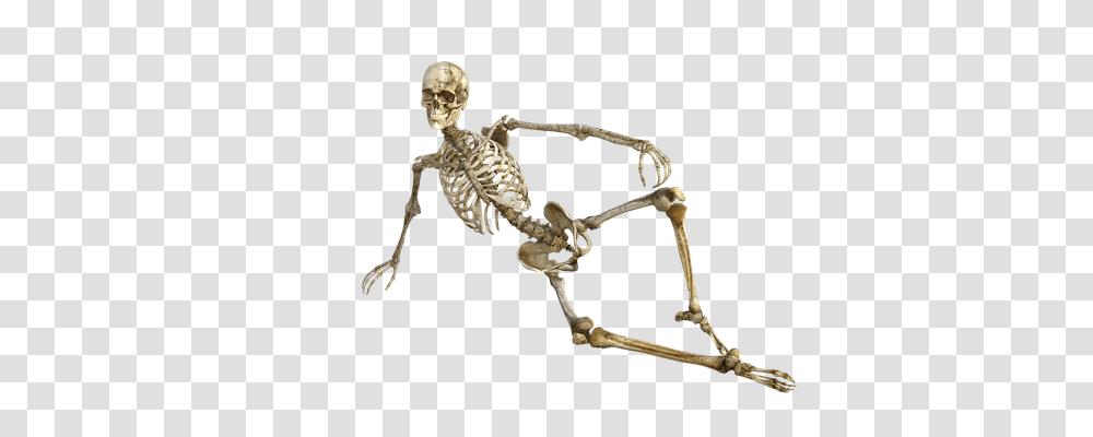 Skeleton Person, Human Transparent Png