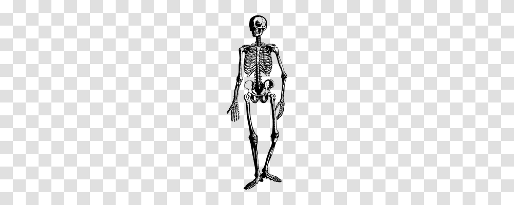 Skeleton Outdoors, Nature, Outer Space, Astronomy Transparent Png