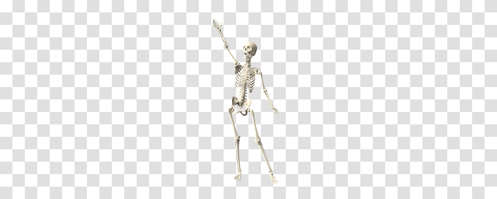 Skeleton Technology, Person, Human, Sword Transparent Png