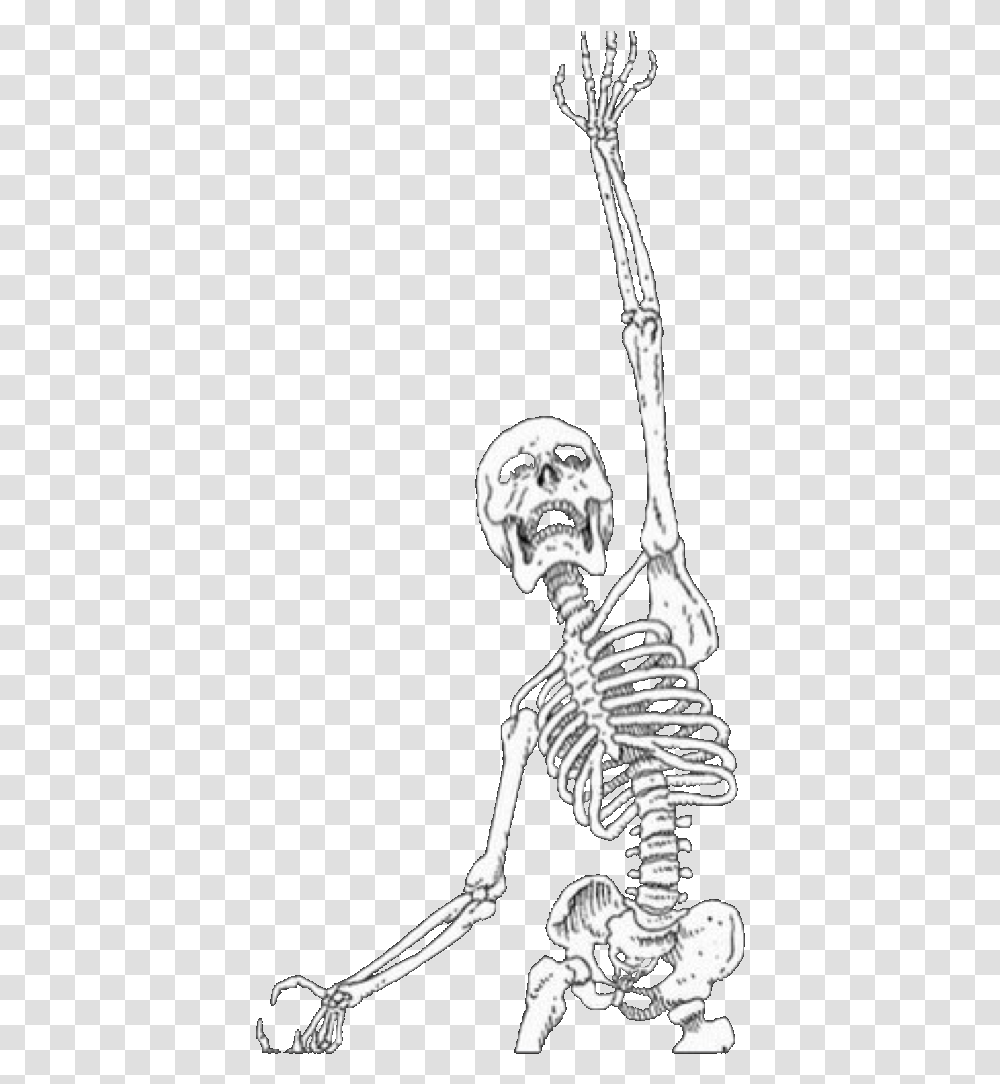 Skeleton Aesthetic Skeleton Aesthetic, Person, Human Transparent Png