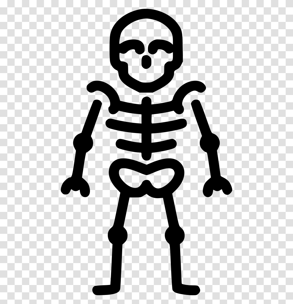 Skeleton Anatomy Bones Skull Skeleton Icon, Stencil, Sunglasses, Accessories Transparent Png