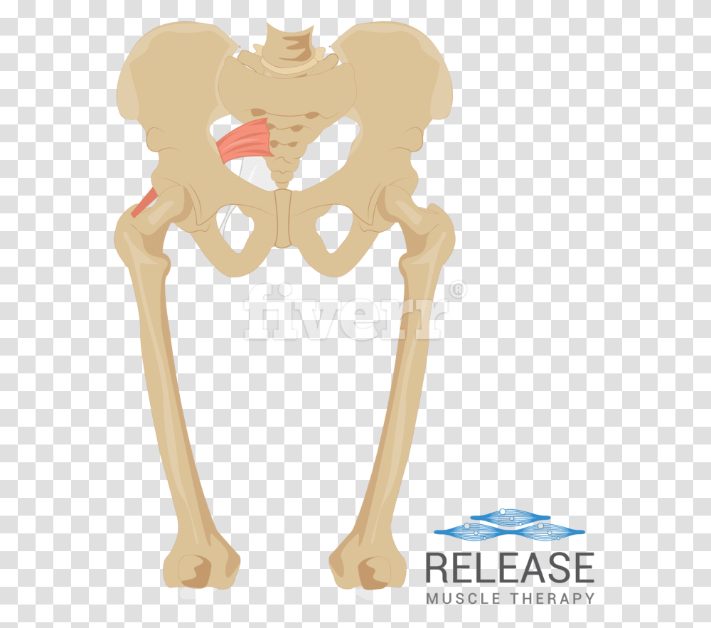 Skeleton Arm Cartoon, Hip, Neck, Slingshot, Cutlery Transparent Png