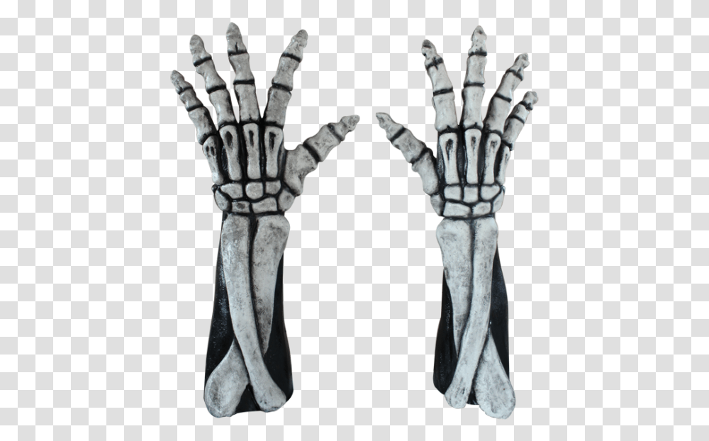 Skeleton Arms Reaper Style Manos De Esqueleto Para Halloween, X-Ray, Ct Scan, Medical Imaging X-Ray Film, Person Transparent Png