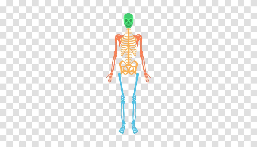 Skeleton Bones Skeleton Bones Images, Alien, Sleeve, Apparel Transparent Png
