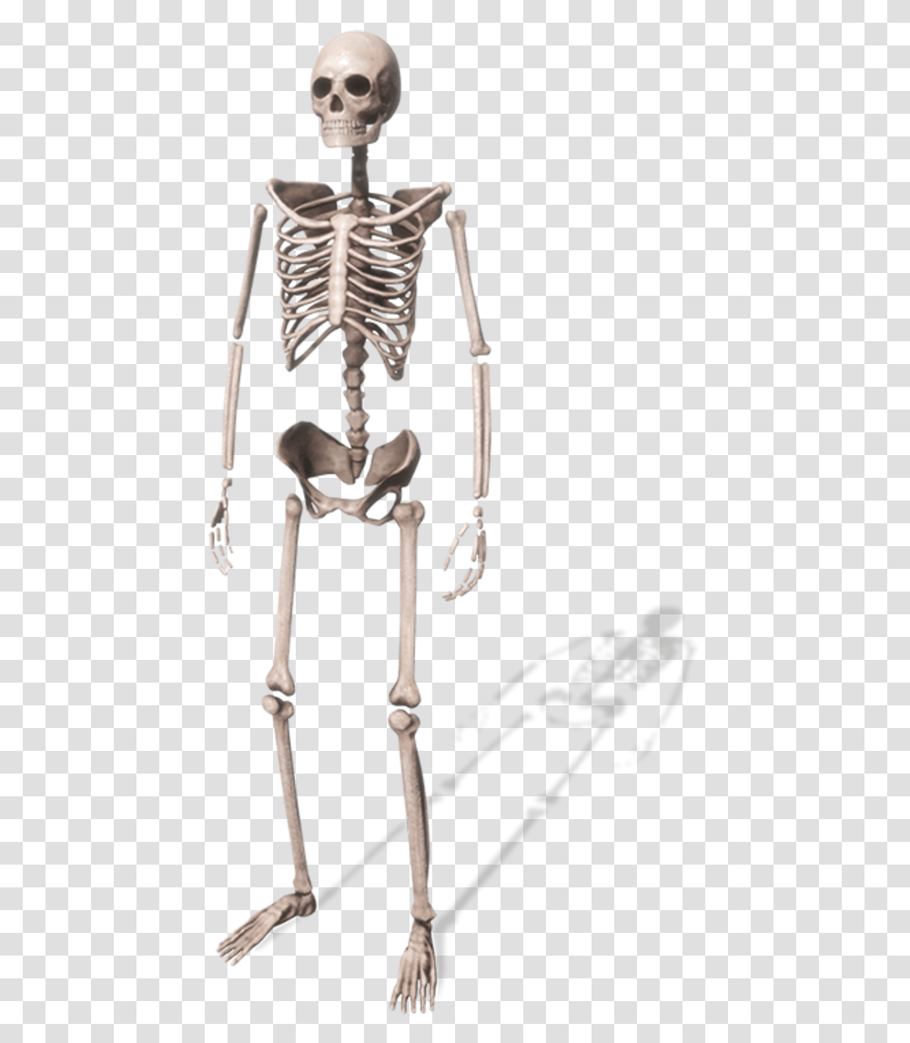 Skeleton, Bow Transparent Png