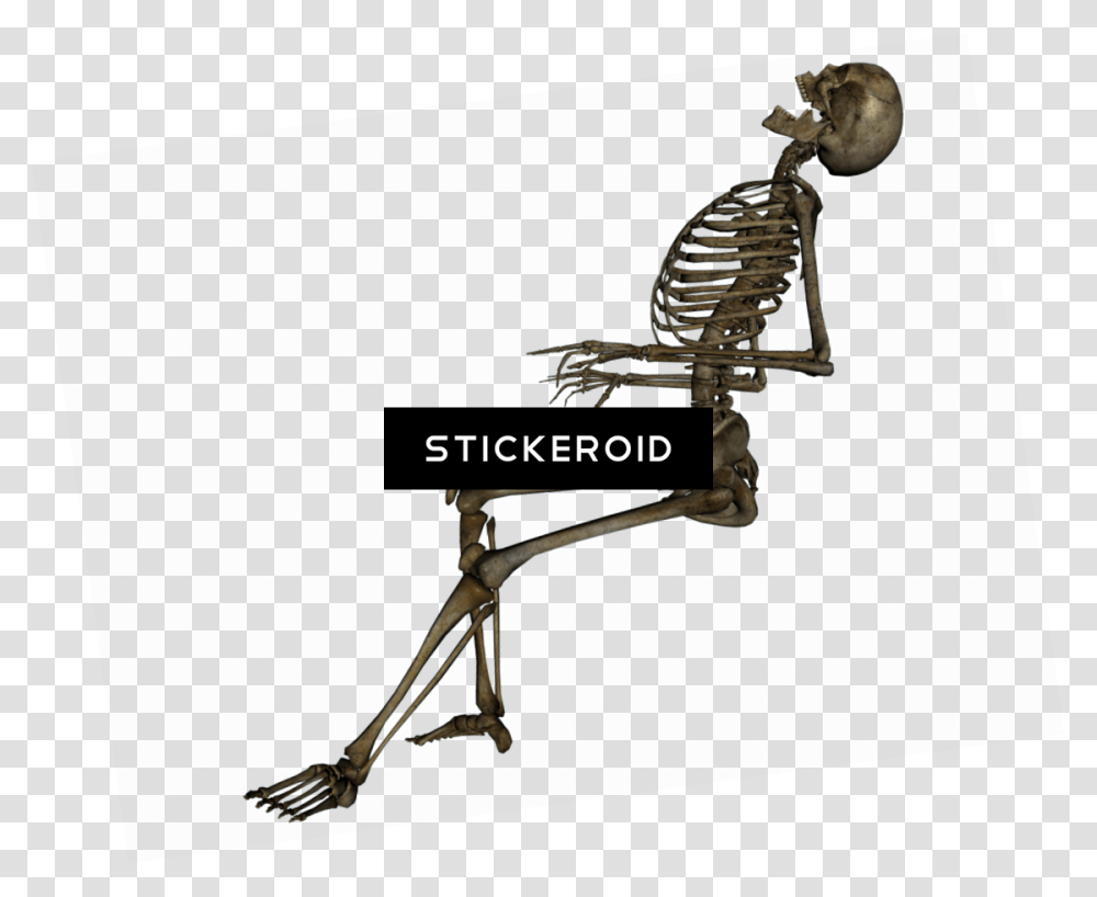 Skeleton, Bow Transparent Png