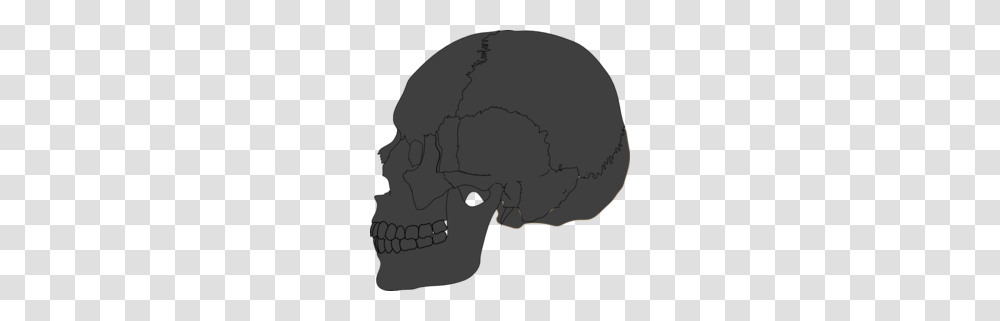 Skeleton Clipart, Face, Head, Mammal, Animal Transparent Png