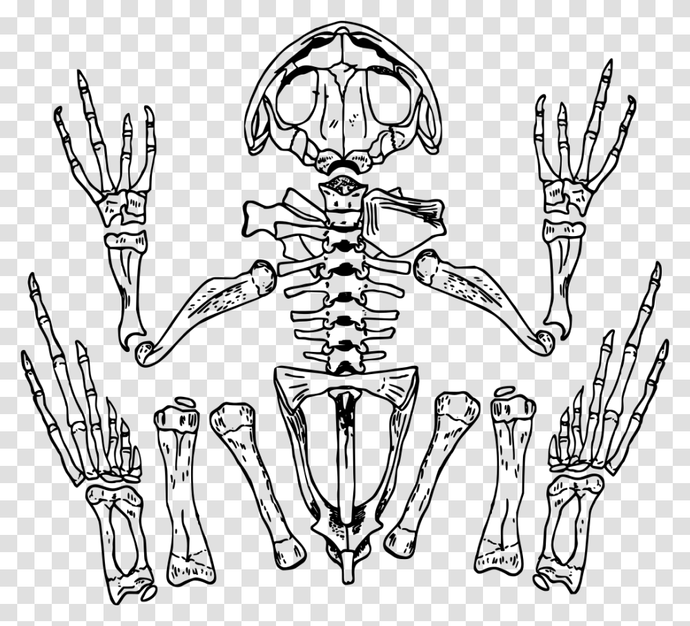 Skeleton Clipart, Gray, World Of Warcraft Transparent Png