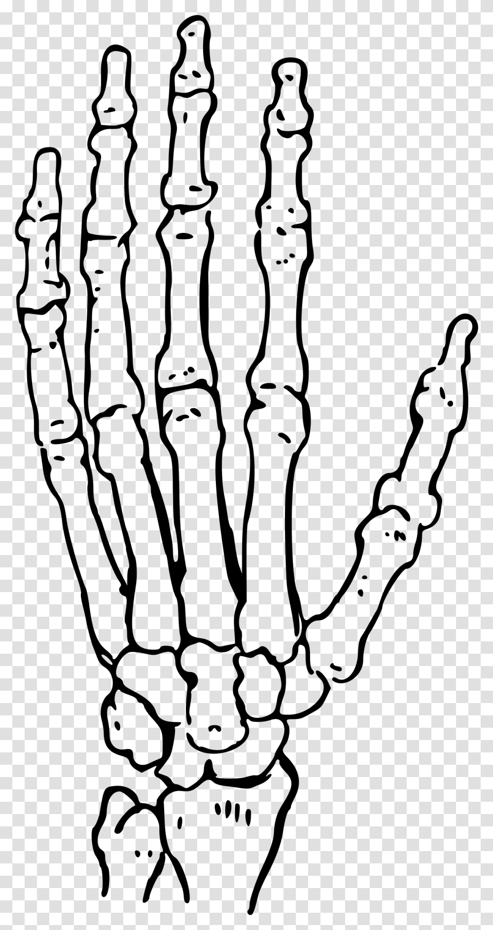 Skeleton Clipart Hand, Gray, World Of Warcraft Transparent Png