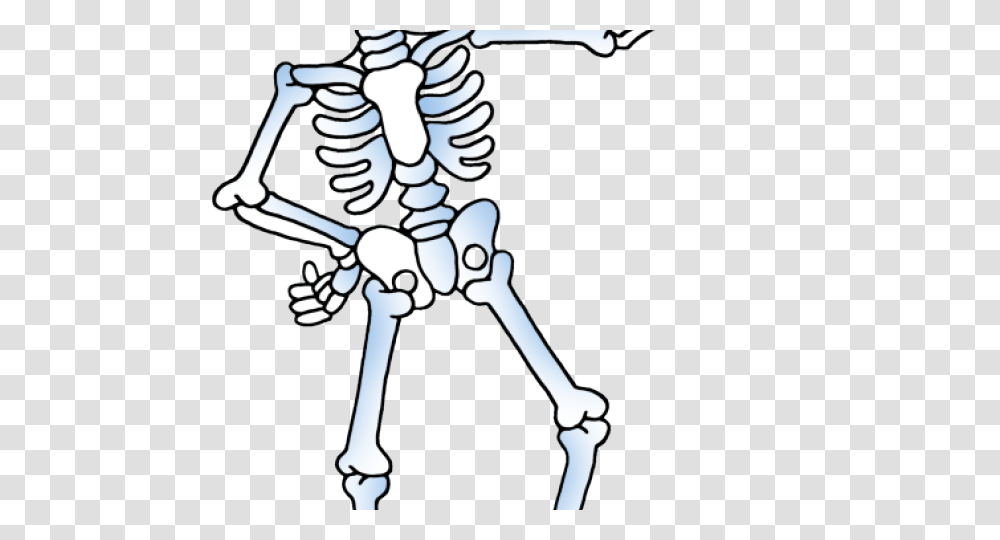 Skeleton Clipart Transparent Png