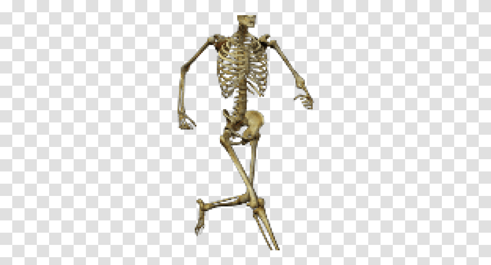 Skeleton, Cross, Arrow Transparent Png