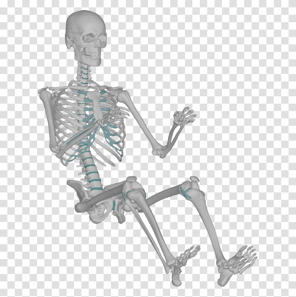 Skeleton, Cross Transparent Png