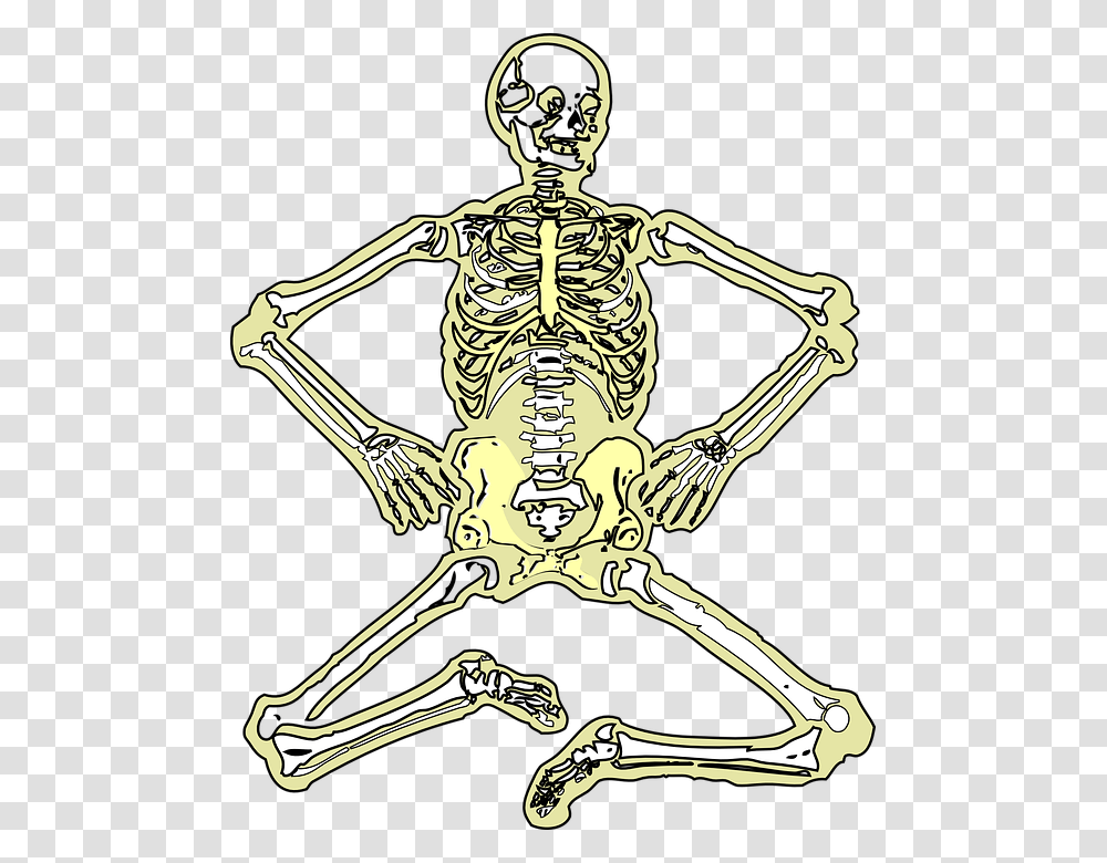 Skeleton Dead Bones Skull Human Medicine Human Skeleton, Person, Fossil, Neck Transparent Png