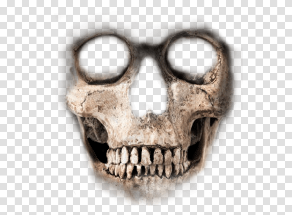 Skeleton Face Skeleton Face For Photoshop, Head, Lion, Wildlife, Mammal Transparent Png