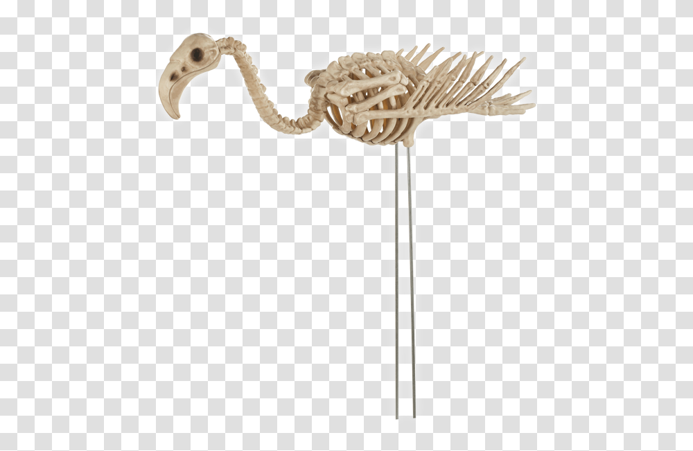 Skeleton Flamingo Skeleton Of A Flamingo, Hammer, Tool, Axe, Stick Transparent Png