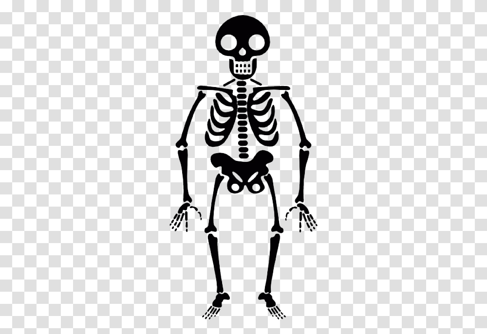 Skeleton Halloween Skeleton Background Transparent Png