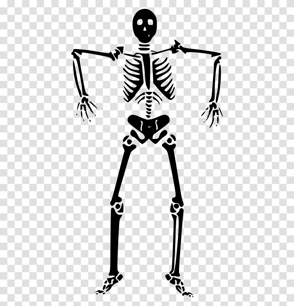 Skeleton Halloween Skeleton Clipart, Bow, Stencil Transparent Png