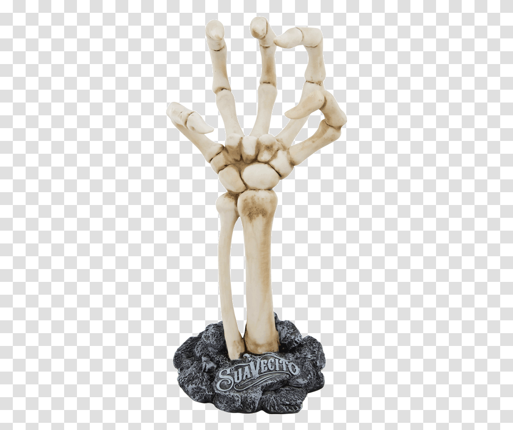 Skeleton Hand Display Human Skeleton Transparent Png