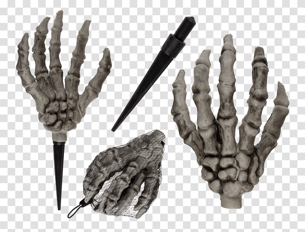 Skeleton, Hand, Hook, Claw, Bronze Transparent Png