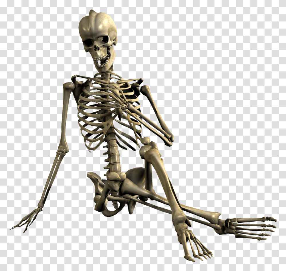 Skeleton Hand In Front Of Chest Skeleton, Bow, Person, Human Transparent Png