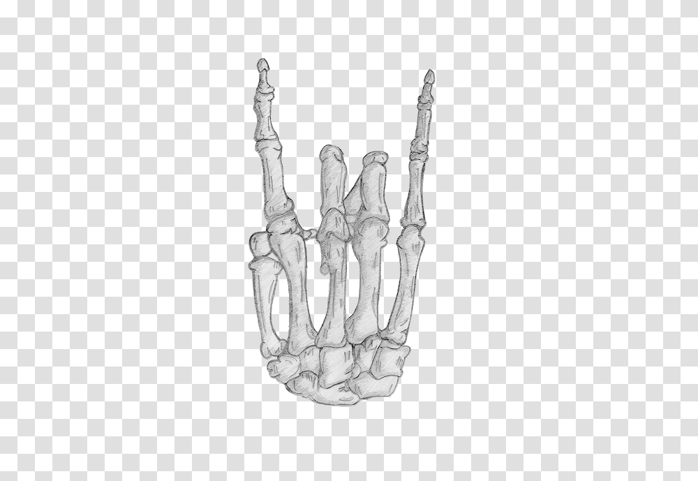Skeleton Hand, X-Ray, Medical Imaging X-Ray Film, Ct Scan Transparent Png