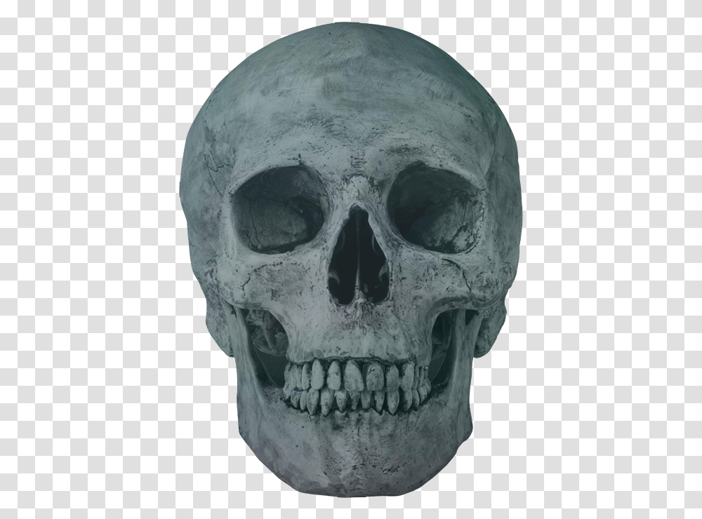 Skeleton Head, Alien, Jaw Transparent Png