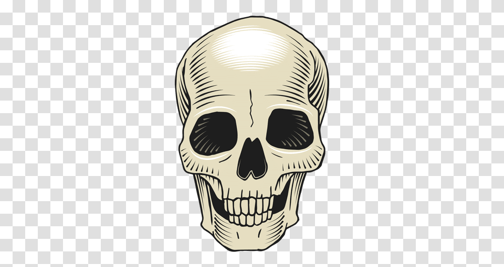 Skeleton Head Images Skull, Skin, Pillow, Drawing, Pirate Transparent Png