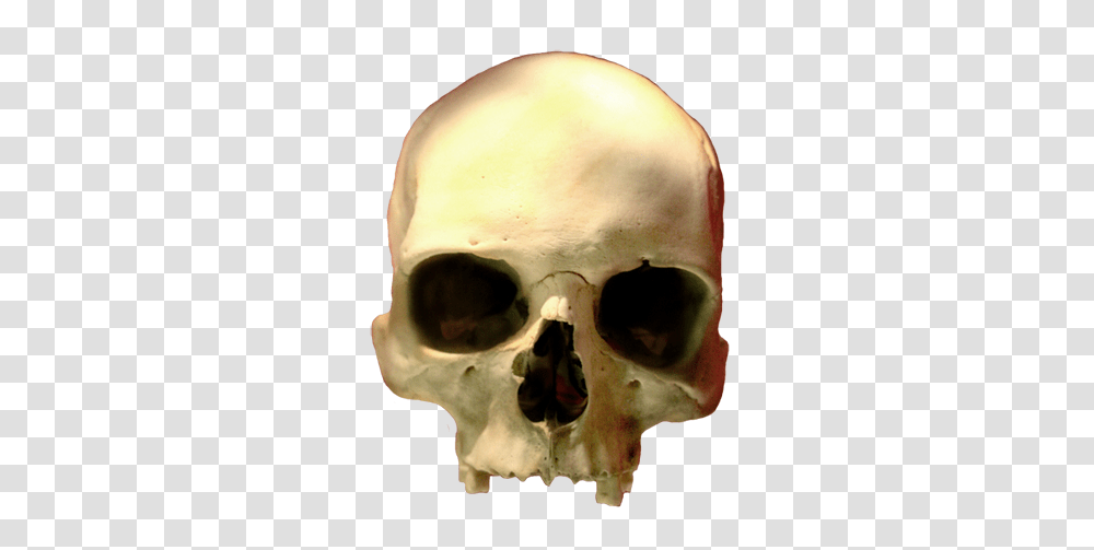 Skeleton Head Skeleton Head Images, Jaw, Helmet, Apparel Transparent Png