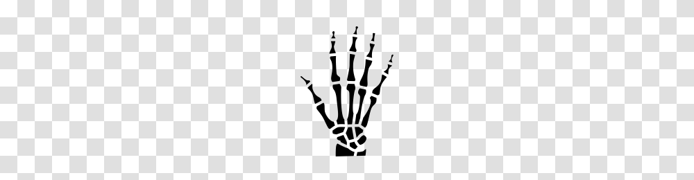 Skeleton Icons Noun Project, Gray, World Of Warcraft Transparent Png