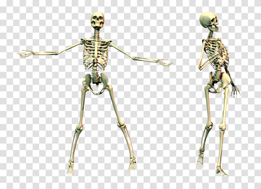 Skeleton Image, Fantasy, Bow Transparent Png