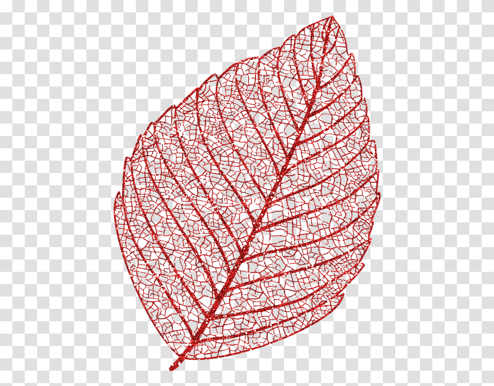 Skeleton Leaf Autumn Glitter Free Image On Pixabay Leaf Skeleton, Plant, Rug, Text, Skin Transparent Png